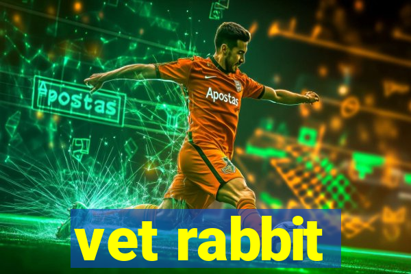vet rabbit